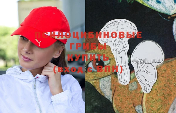 дурь Липки