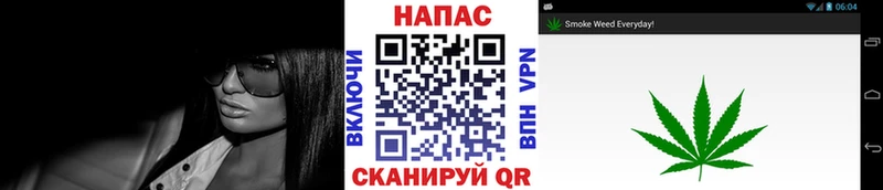 Бошки Шишки MAZAR  Нарьян-Мар 